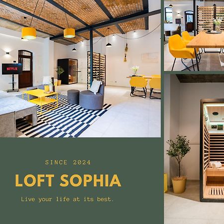 Luxurioeses 100M2 Loft Mit Sauna & Parkplatz - Platz Fuer 4 Personen วิสบาเดน ภายนอก รูปภาพ